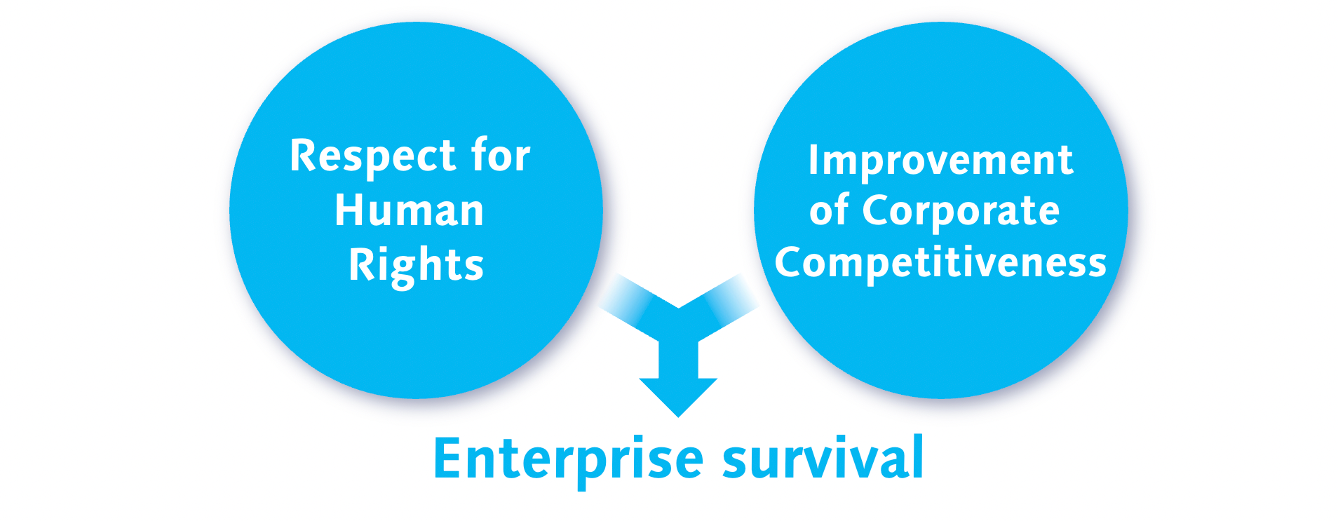 Respect for  Human  Rights