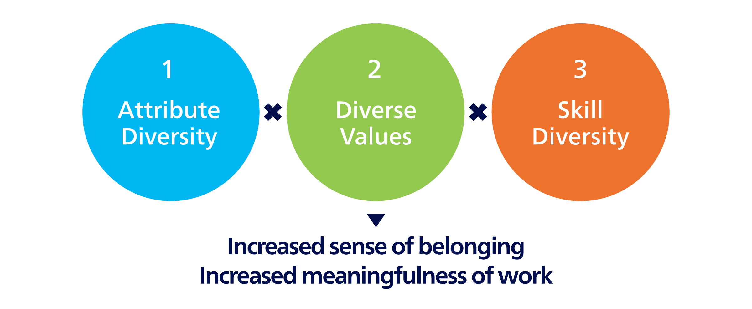 Diversity of attributes, values, and skills increases the sense of belonging to the organization and the meaning of work.