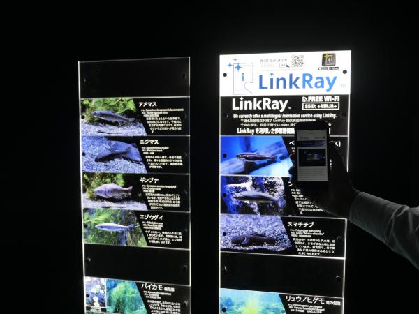 写真：支笏湖ゾーンのLinkRayパネル