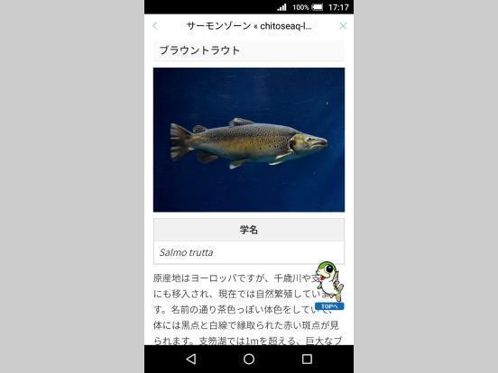 写真：スマートフォン画面（日本語）