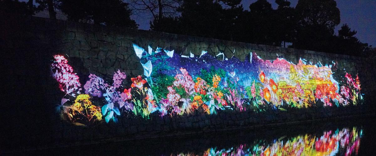 写真：二条城の石垣に映し出されたプロジェクションマッピング。色彩豊かな花の世界が表現されている。