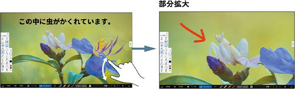 拡大・縮小で教材をさらに見やすく