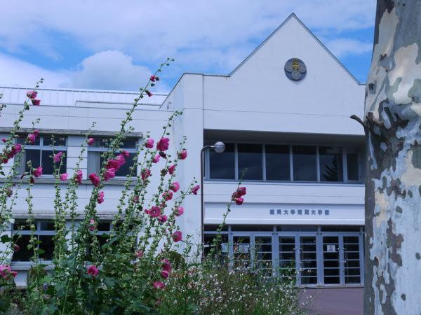 写真：盛岡大学短期大学部様外観