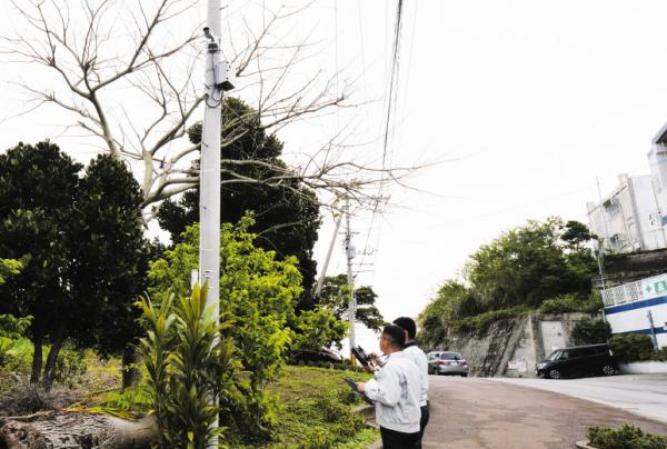 写真：電柱の前に立った男性職員2名がカメラシステムからタブレット端末へデータをダウンロードしている様子。