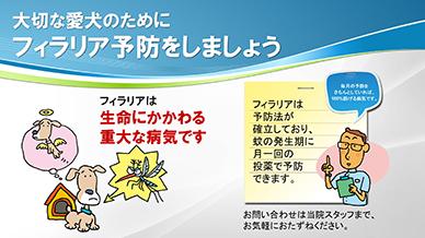 フィラリア予防案内