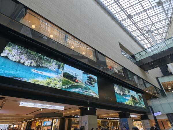 写真：アンチリフレクション処理により自然光の反射を低減し、鮮明さを維持