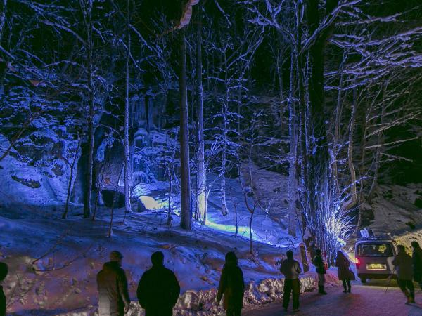写真：LEDカラー投光器「ダイナペインター」で夜間の景観を演出2
