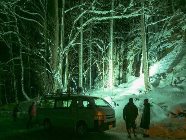 写真：LEDカラー投光器「ダイナペインター」で夜間の景観を演出3