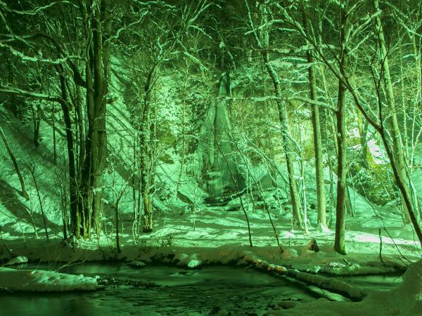 写真：LEDカラー投光器「ダイナペインター」で夜間の景観を演出4