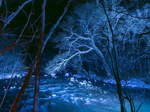 写真：LEDカラー投光器「ダイナペインター」で夜間の景観を演出5