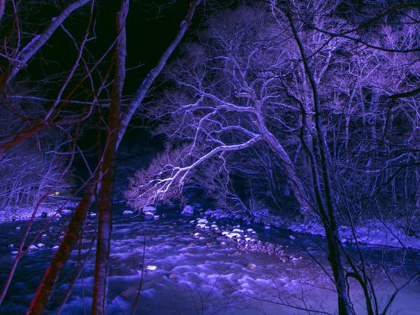 写真：LEDカラー投光器「ダイナペインター」で夜間の景観を演出