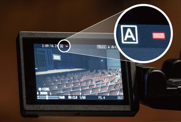 写真：AG-CX350：タリー赤色（PGM）