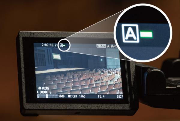 写真：AG-CX350：タリー緑色（PVW）