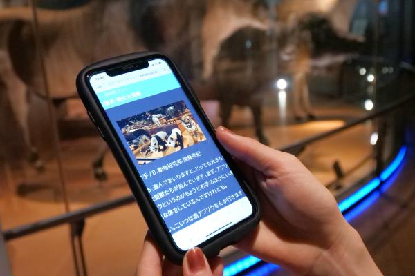 写真：近くの展示の概要解説を画像と文字で表示