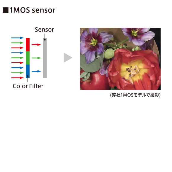 1MOSセンサーと3MOSセンサーの比較図：1MOSセンサーの場合