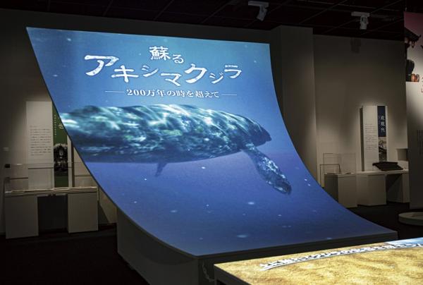 写真：「蘇るアキシマクジラ」コンテンツの冒頭シーン