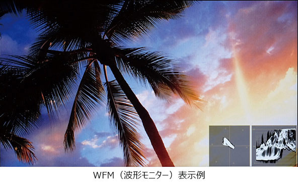 WFM（波形モニター）表示例の画像