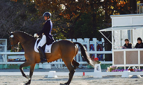写真：馬術競技の現場