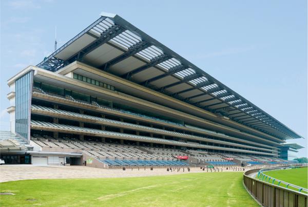 写真：東京競馬場