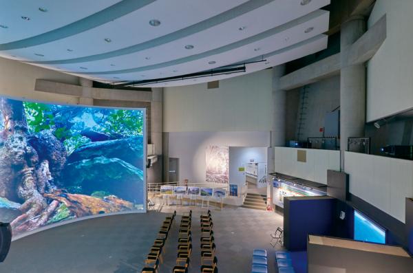 写真：常設展示室をリニューアルし大型スクリーンを設置。展示物の見学に影響が出ないよう、館内の明るさや映像の明るさを考慮されて設計された
