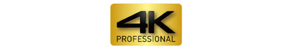 4K professional ロゴ画像
