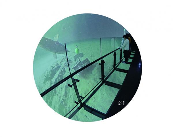 写真：常設展示のTHEATER36○では、深海の様子が眼前・頭上・背面・足元も360度にわたって展開