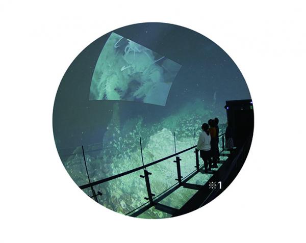 写真：深海映像の上映風景