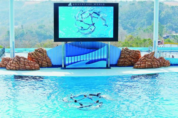 写真： 天井カメラで真上から撮影した“うずしお”のパフォーマンスに、会場からは拍手喝采