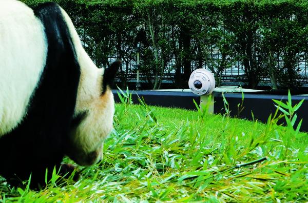 写真：円形の運動場は数メートルおきにカメラを設置し パンダが移動しても隅々まで監視