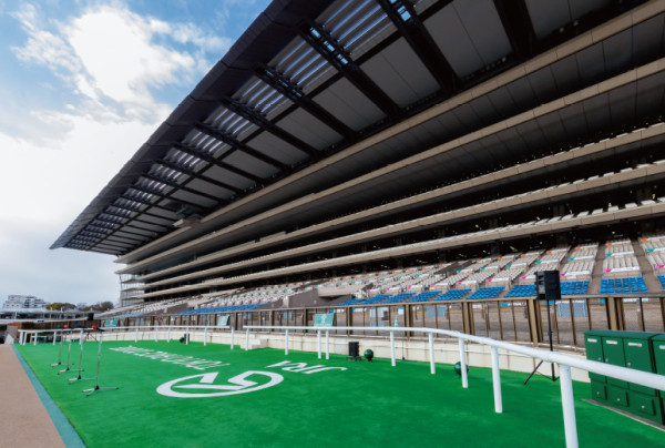 かわいい！ 【2セット 16枚】東京サマーランド + 大井競馬場 遊園地