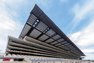 写真：東京競馬場のフジビュースタンドとメモリアル60スタンド