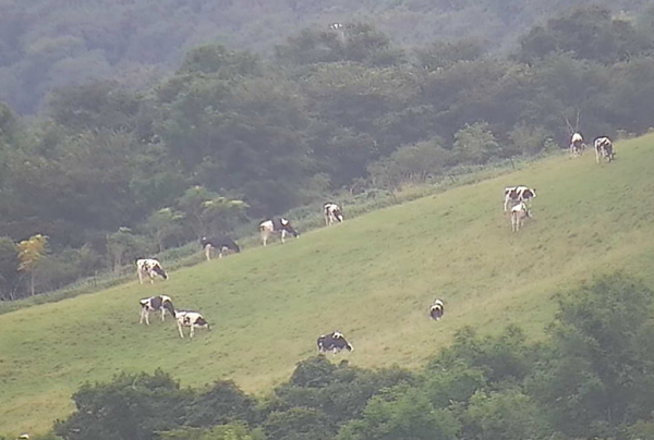 写真：摩周湖農業協同組合 町営牧場の一部（WV-S6532LNJでズーム撮影: 約1.2 km先）