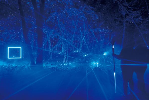 写真：暗闇の森の中を青い線状の光が駆け巡る様子。
