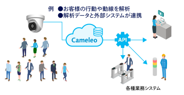 cameleo_hp_contents_3.png 
