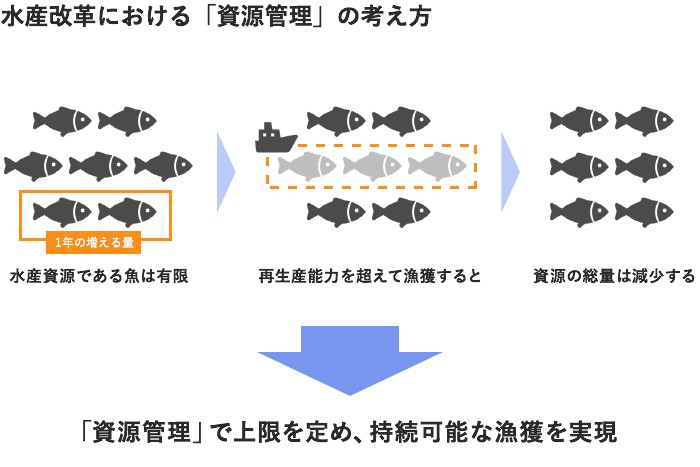 資源管理の概念図（参考：水産庁｢TAC制度紹介パンフレット｣）