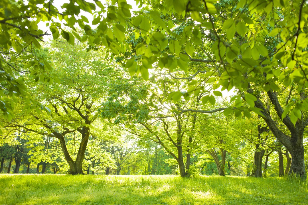 img_article_220422_03