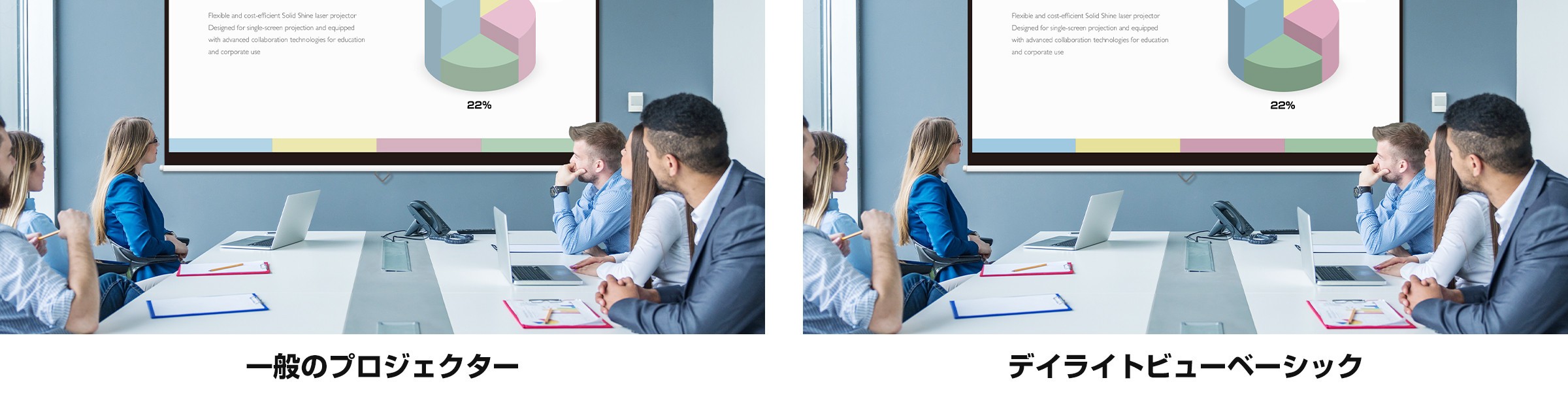 デイライトビューベーシック比較