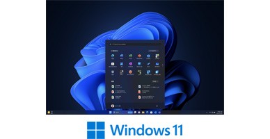 Windows 11 Pro