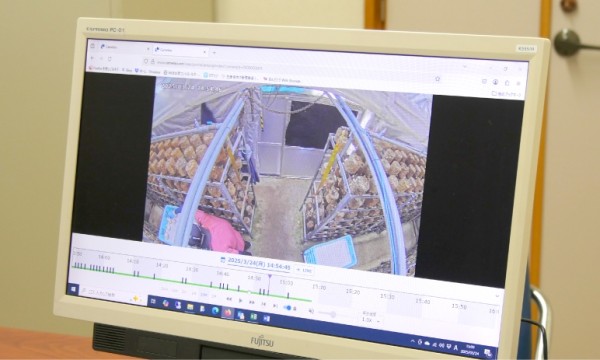 写真：動体検知により、動きがあった箇所を効率的に確認