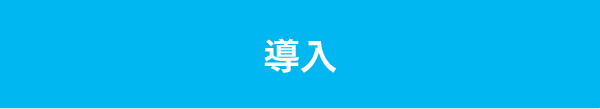 導入