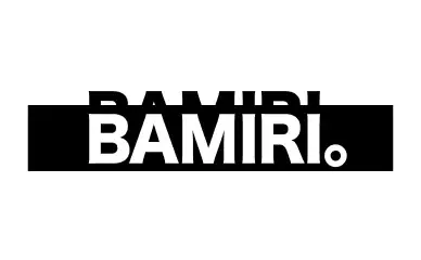 株式会社BAMIRI