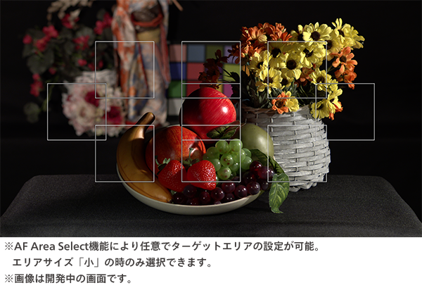 オートフォーカスメイン画像