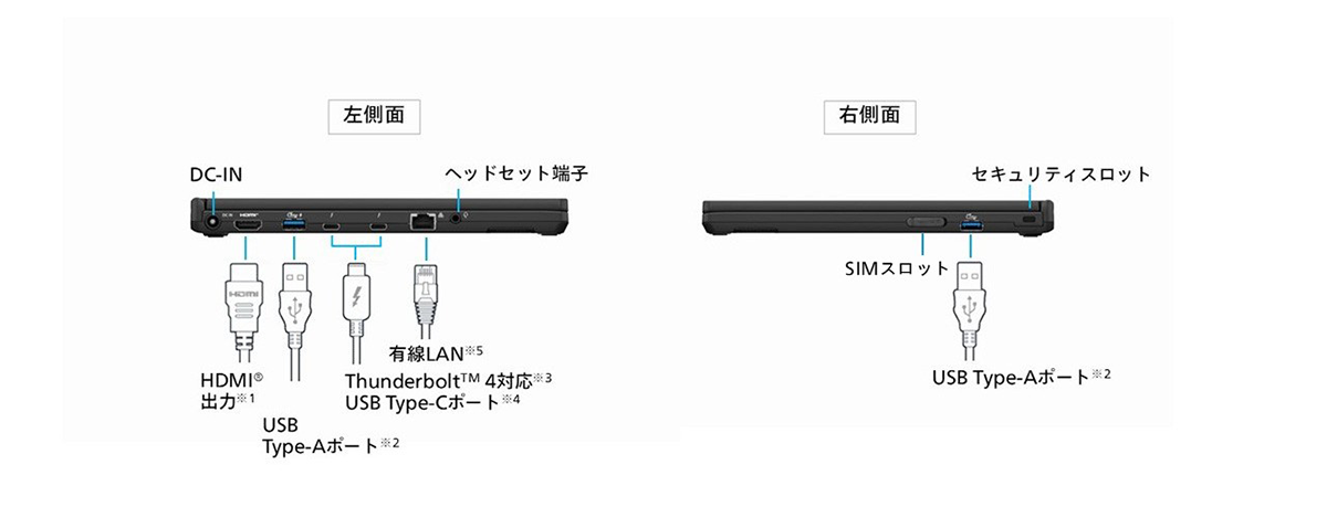SCのインターフェース（左右側面）