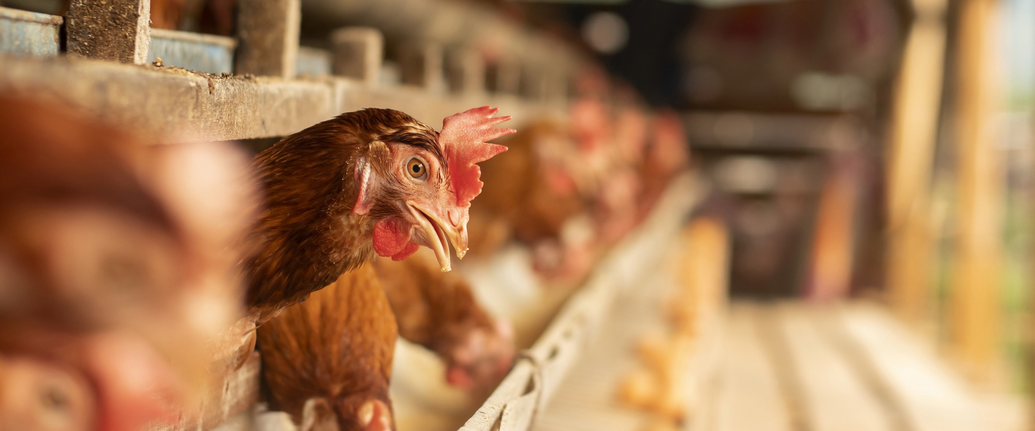 サプライチェーンの最適化で、CO2排出量とフードロスを削減