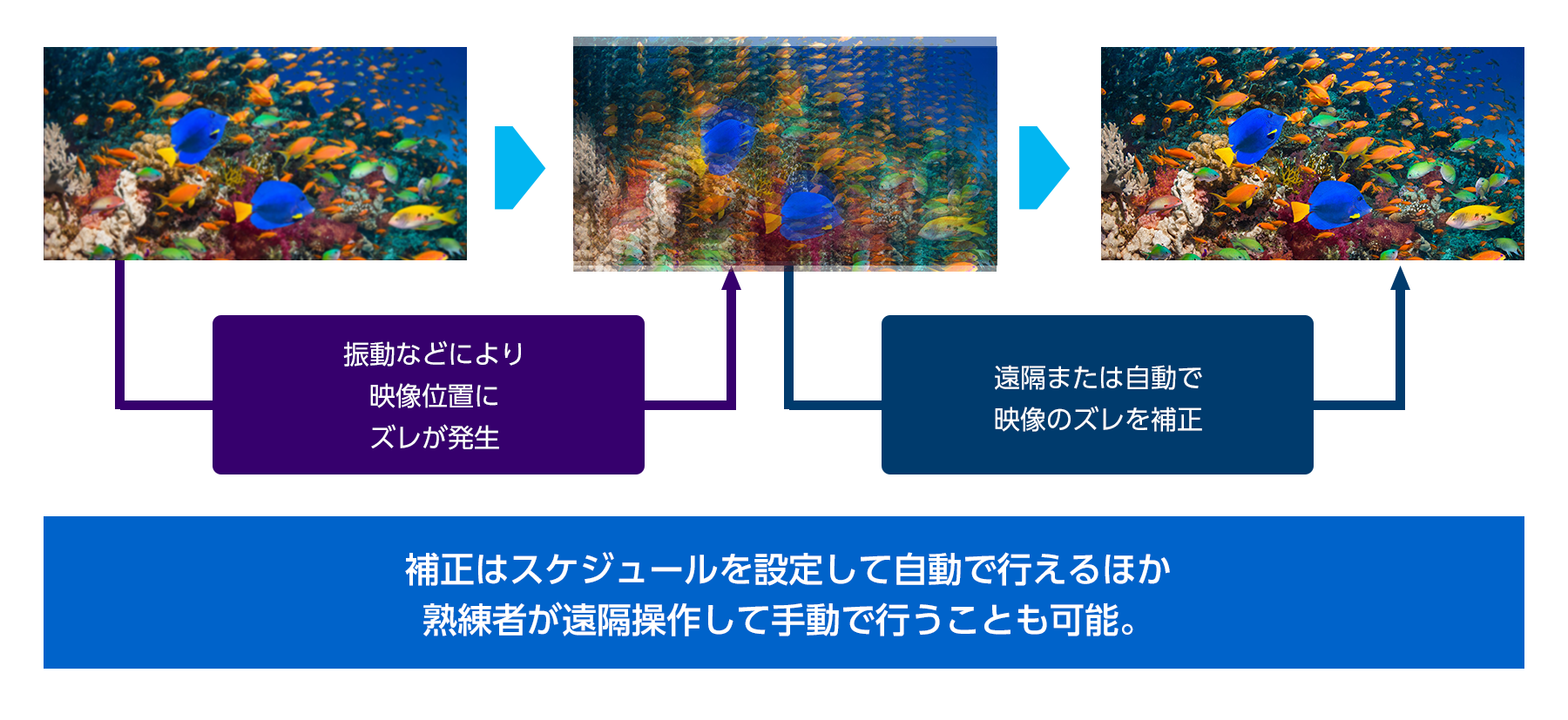 映像調整サービス