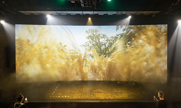 タイパビリオン