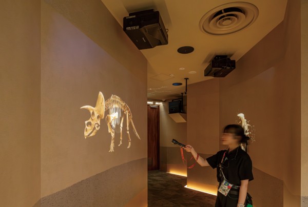 壁に映る岩肌を懐中電灯で照らすと発掘できるユニークな仕掛けにより、体験型の展示を実現。