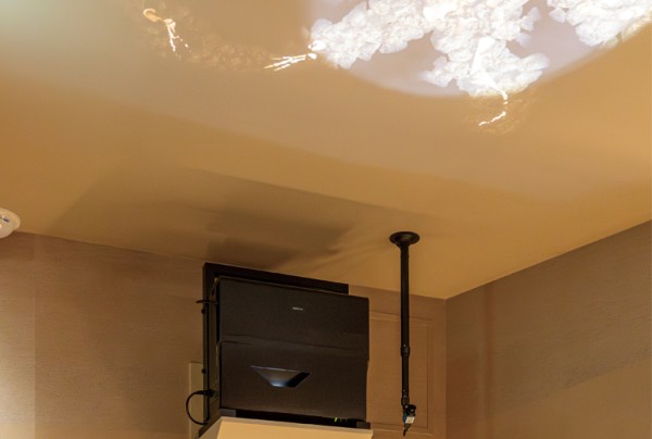 天井近くに設置したPT-CMZ50JBが壁面や天井に恐竜の映像を投映し、迫力あるシーンを展開。