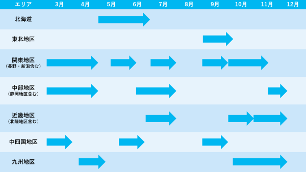2026年パナソニックロードの概略日程表
