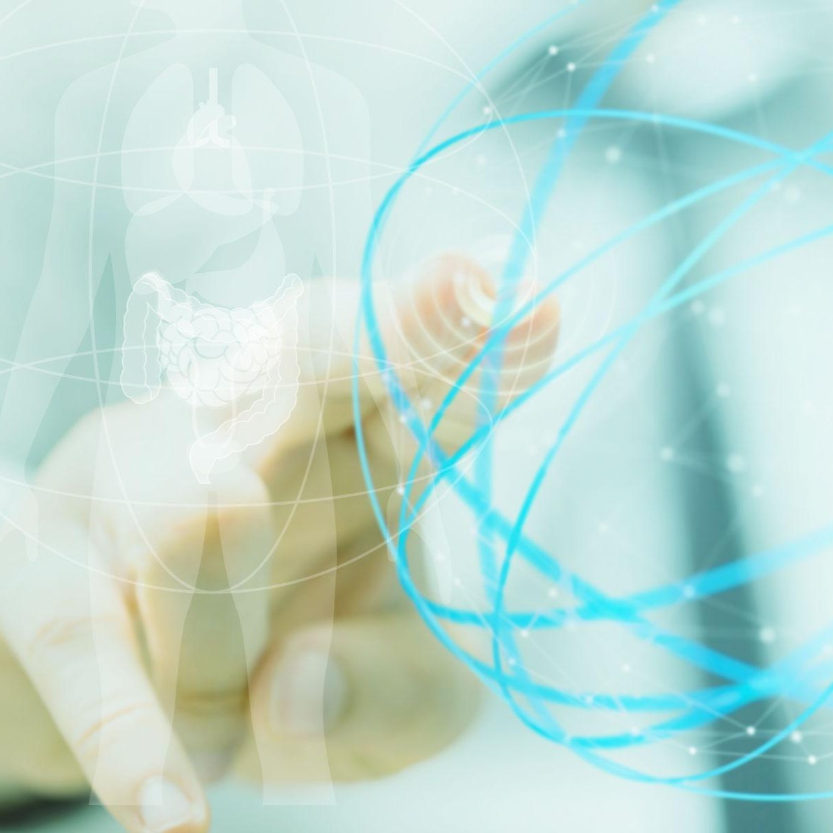 多視点3D解剖教育システム MeAV Anatomie 3D